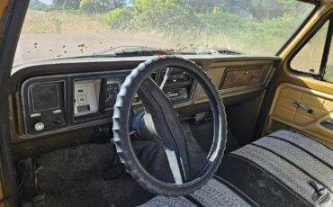 Ford-F100-1979-10
