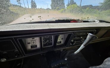 Ford-F100-1979-11