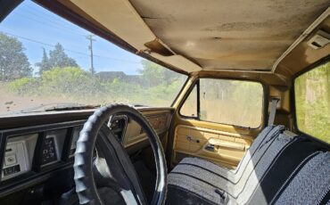 Ford-F100-1979-12