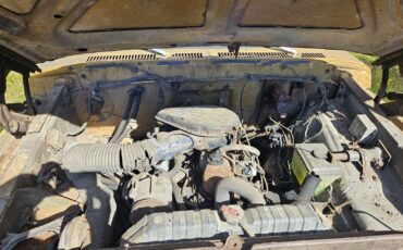 Ford-F100-1979-14