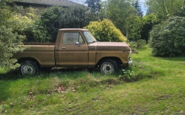 Ford-F100-1979-3