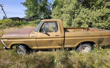 Ford-F100-1979-4
