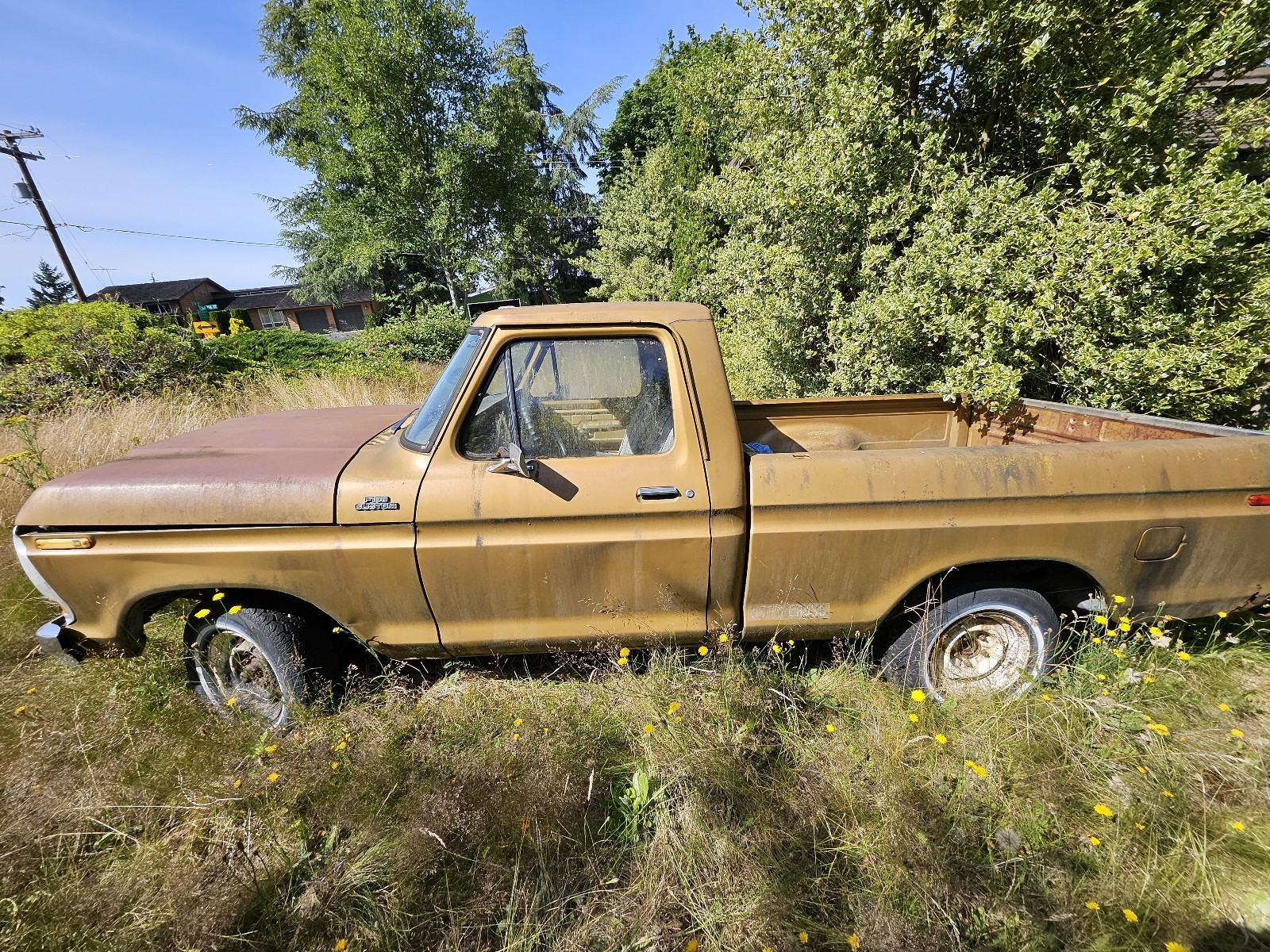 Ford-F100-1979-4