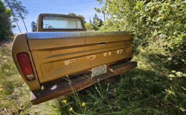 Ford-F100-1979-6