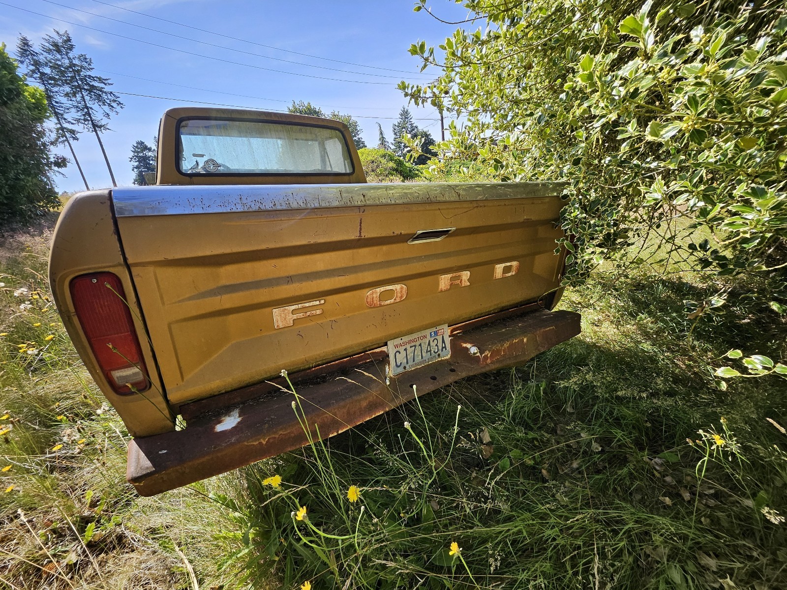 Ford-F100-1979-6