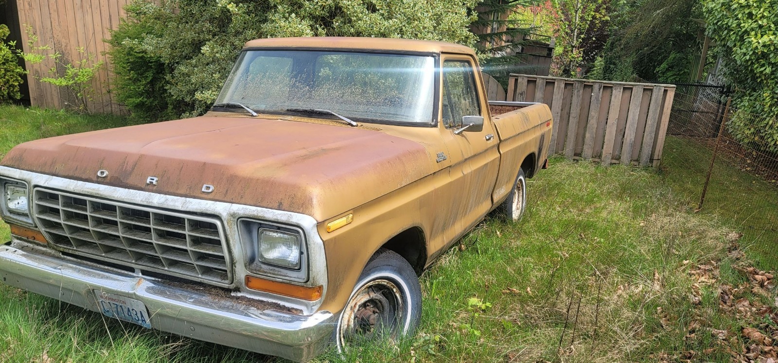 Ford F100 1979