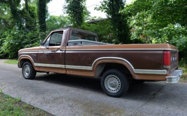 Ford-F100-1980-brown-1