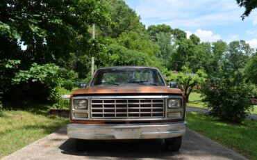 Ford-F100-1980-brown-10