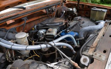 Ford-F100-1980-brown-15