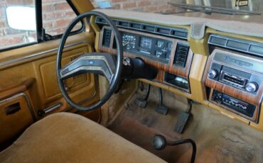 Ford-F100-1980-brown-18