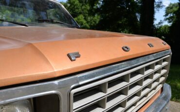 Ford-F100-1980-brown-3