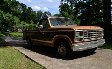 Ford-F100-1980-brown