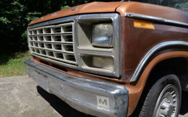 Ford-F100-1980-brown-4