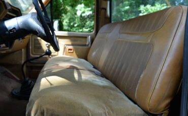 Ford-F100-1980-brown-5
