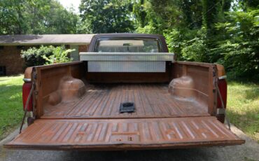Ford-F100-1980-brown-8