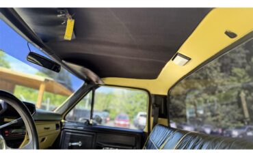 Ford-F100-1981-Yellow-Black-6
