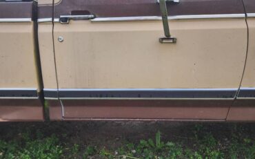 Ford-F100-1983-brown-14