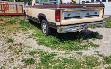Ford-F100-1983-brown-3