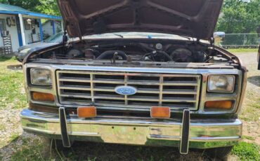 Ford-F100-1983-brown-4