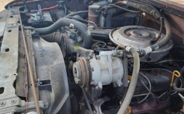 Ford-F100-1983-brown-5