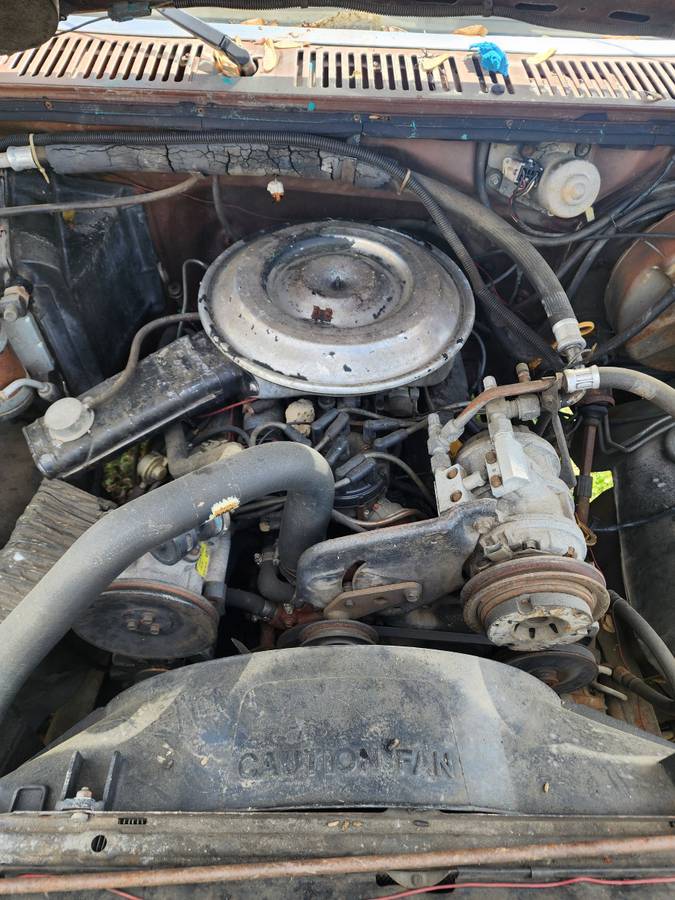 Ford-F100-1983-brown-6