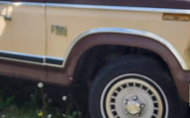 Ford-F100-1983-brown-7