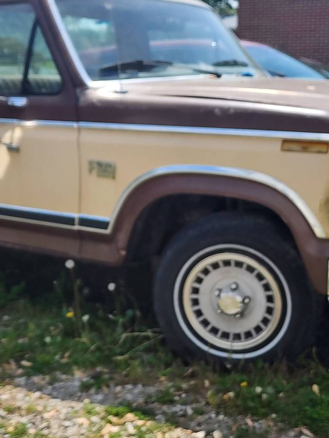 Ford-F100-1983-brown-7