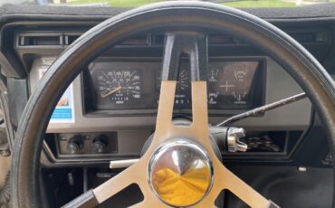 Ford-F150-1981-Off-White-Grey-5