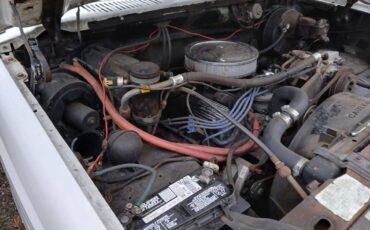 Ford-F150-1982-5