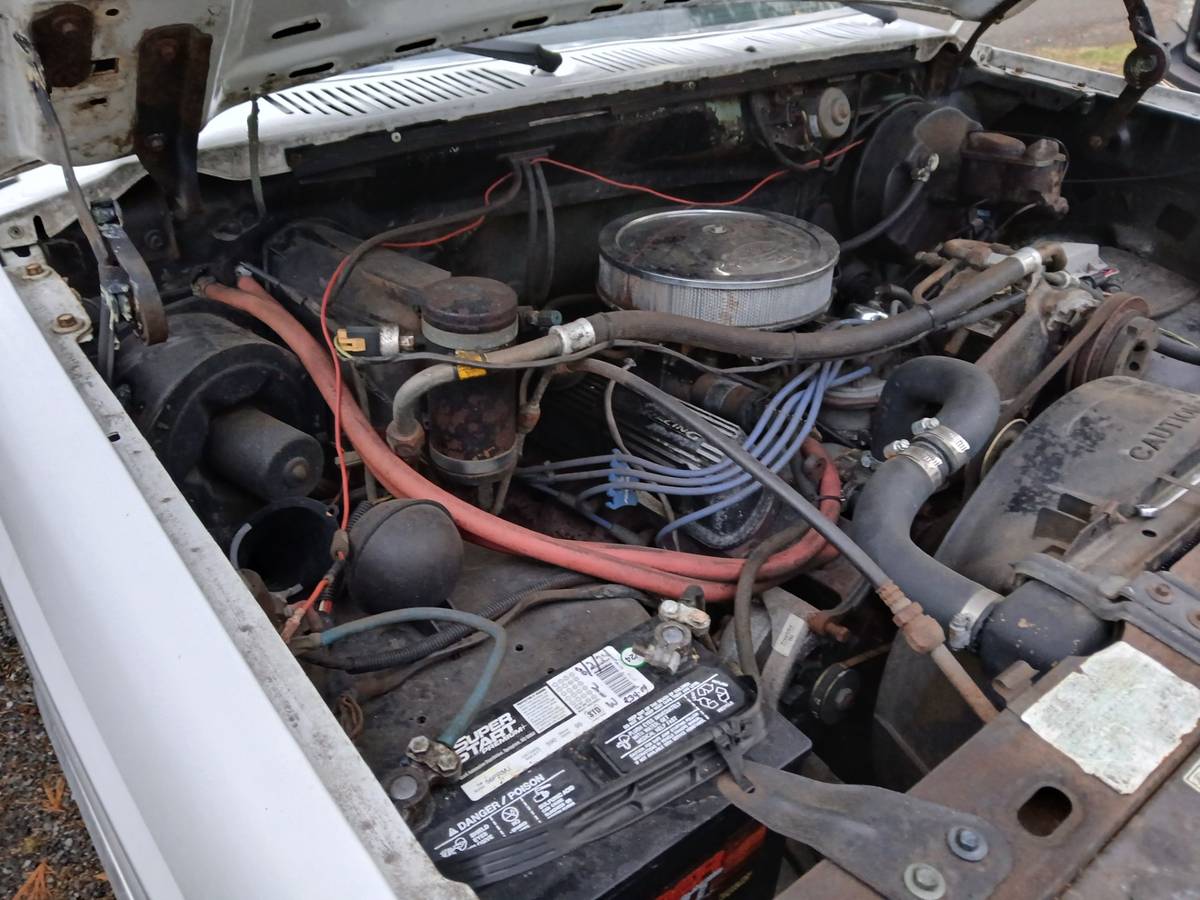 Ford-F150-1982-5