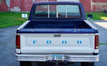 Ford-F150-1984-Blue-amp-White-Blue-17