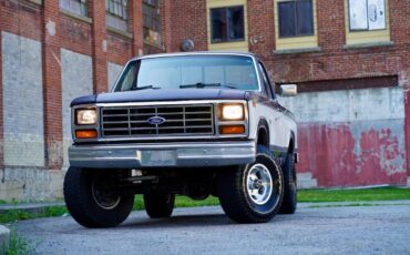 Ford-F150-1984-Blue-amp-White-Blue-19