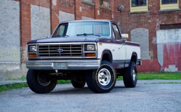 Ford-F150-1984-Blue-amp-White-Blue-24