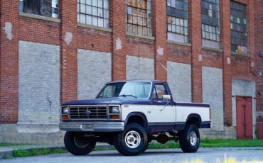 Ford-F150-1984-Blue-amp-White-Blue-5