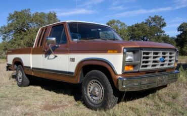 Ford-F150-1985-brown-2