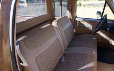 Ford-F150-1985-brown-3