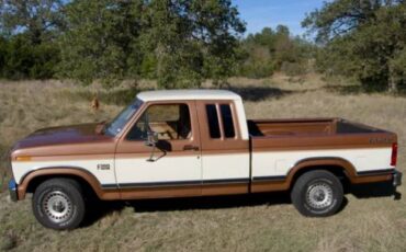 Ford-F150-1985-brown