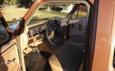 Ford-F150-1985-brown-5