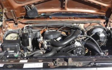 Ford-F150-1985-brown-6