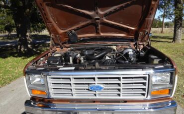 Ford-F150-1985-brown-9