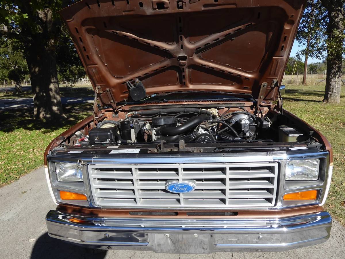 Ford-F150-1985-brown-9
