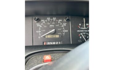 Ford-F150-1994-Green-Beige-11