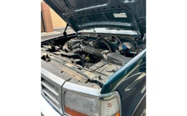Ford-F150-1994-Green-Beige-15