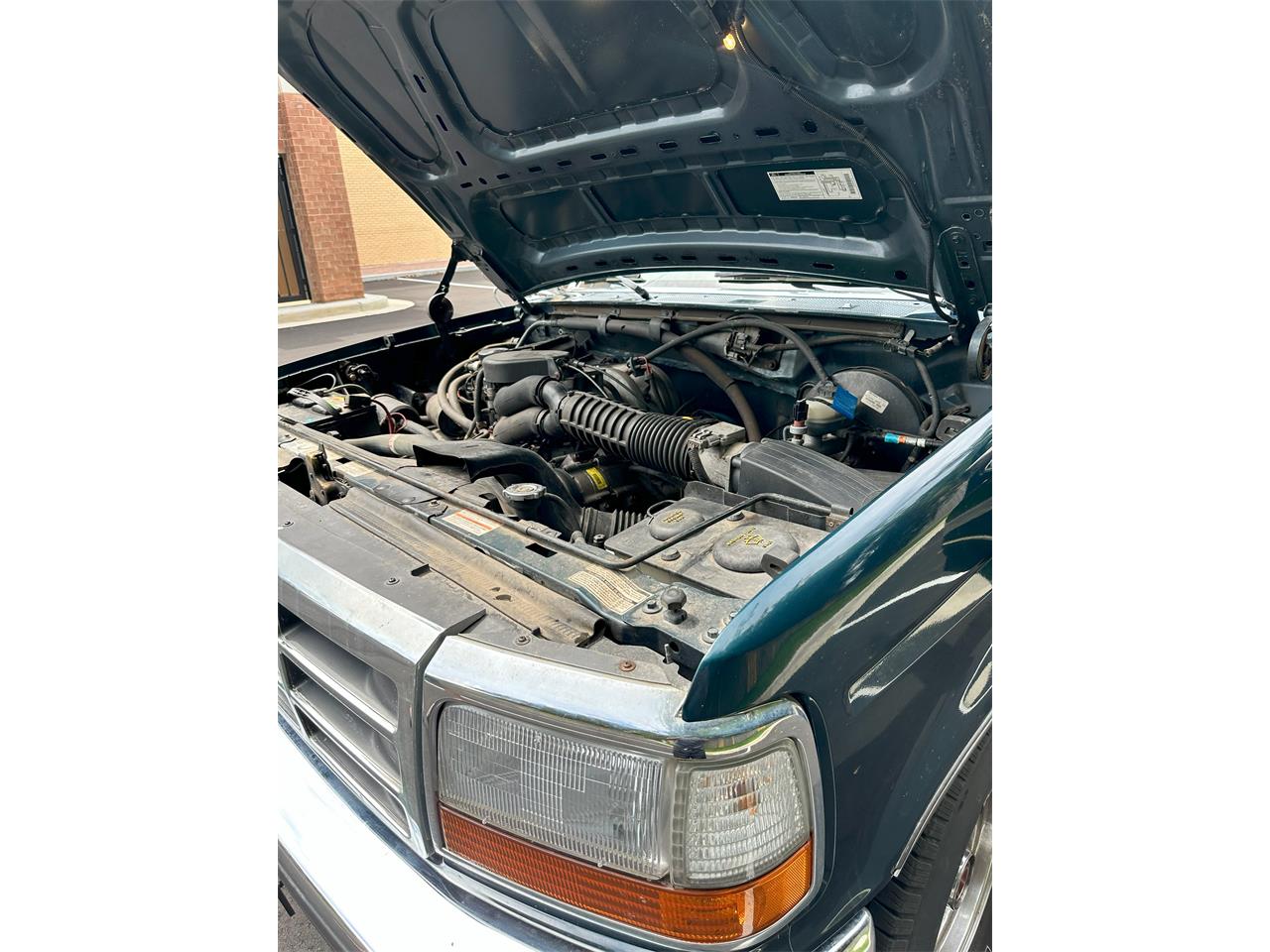 Ford-F150-1994-Green-Beige-15