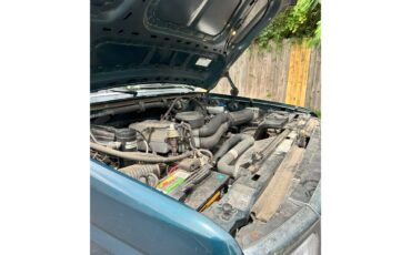 Ford-F150-1994-Green-Beige-17