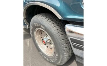 Ford-F150-1994-Green-Beige-18