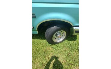 Ford-F150-1994-bright-calypso-green-gray-16