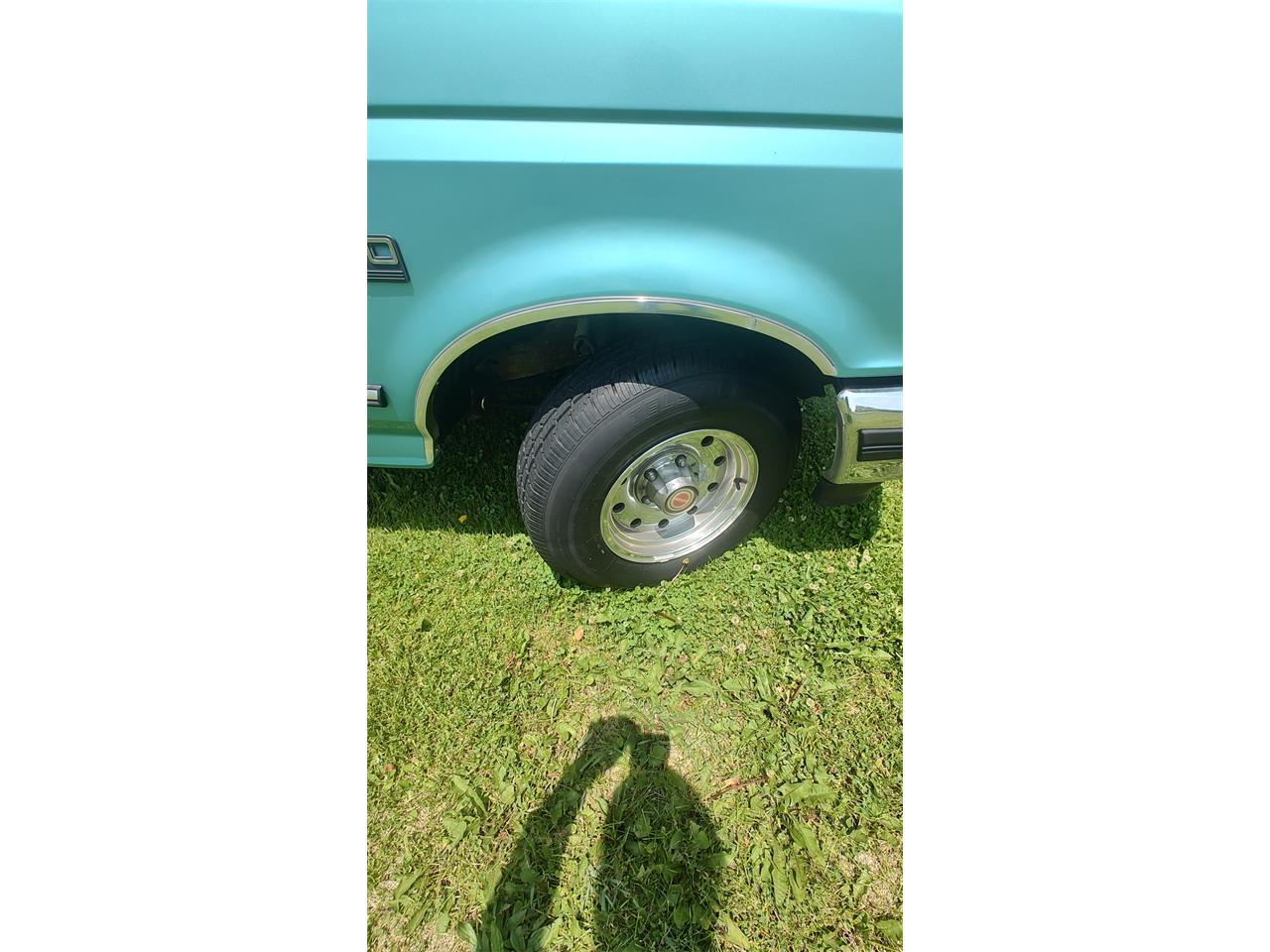 Ford-F150-1994-bright-calypso-green-gray-16