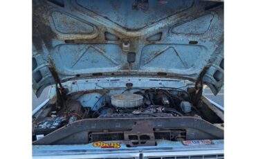 Ford-F250-1970-Blue-Blue-10