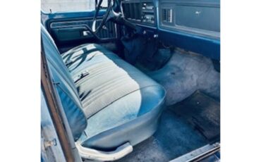 Ford-F250-1977-Blue-Blue-4